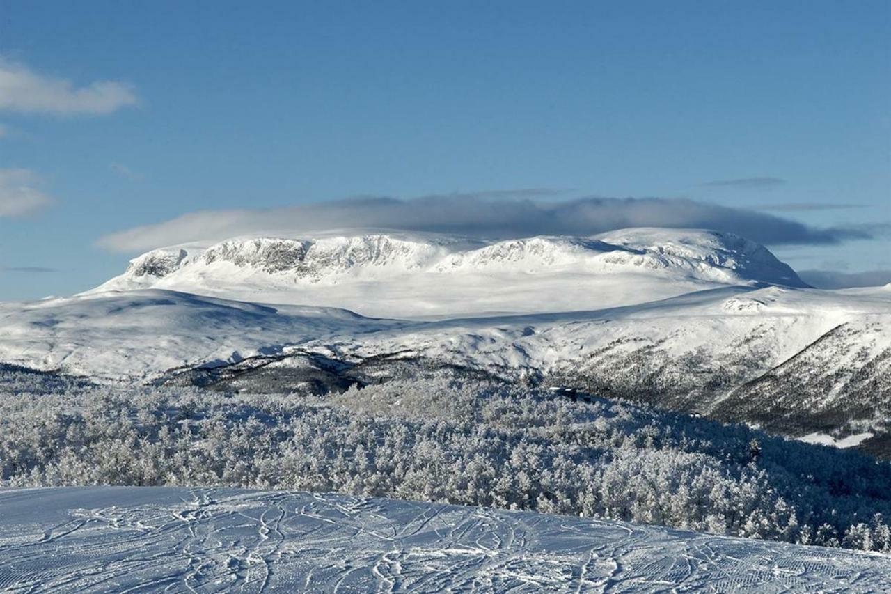 Private Suite At Dr. Holms Geilo Kültér fotó